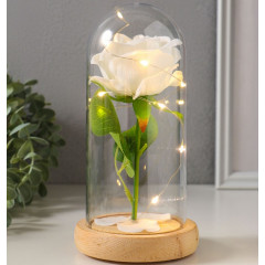 Ночник колба «Роза» LED 3хААА белый 9,5х9,5х19,5 см